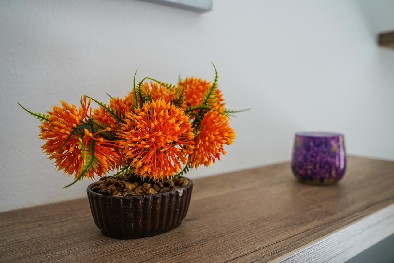 Апартаменты BUZUKU Apartments Liman (Mediterraneo) Улцинь-12