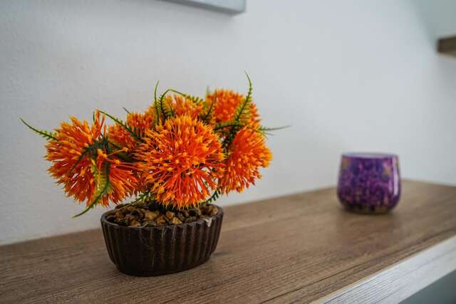 Апартаменты BUZUKU Apartments Liman (Mediterraneo) Улцинь-11